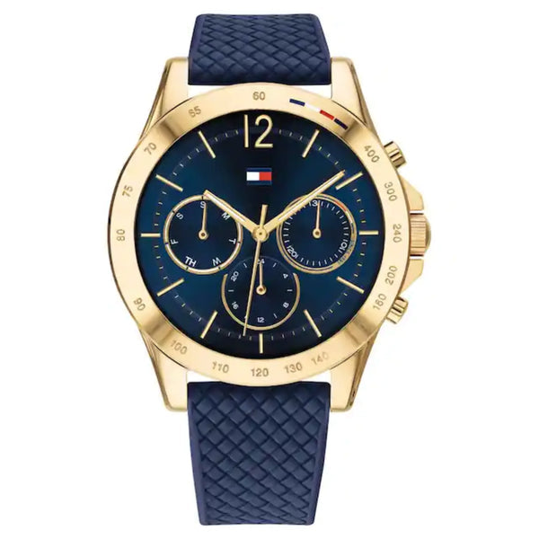 Montre Tommy Hilfiger Haven 1782198