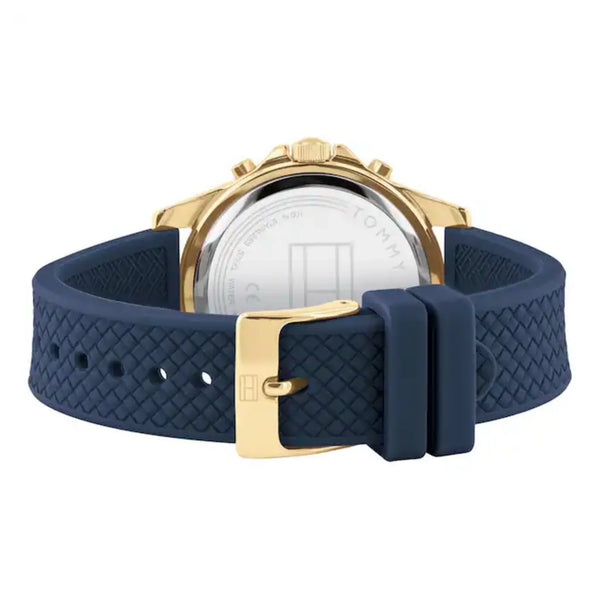 Montre Tommy Hilfiger Haven 1782198